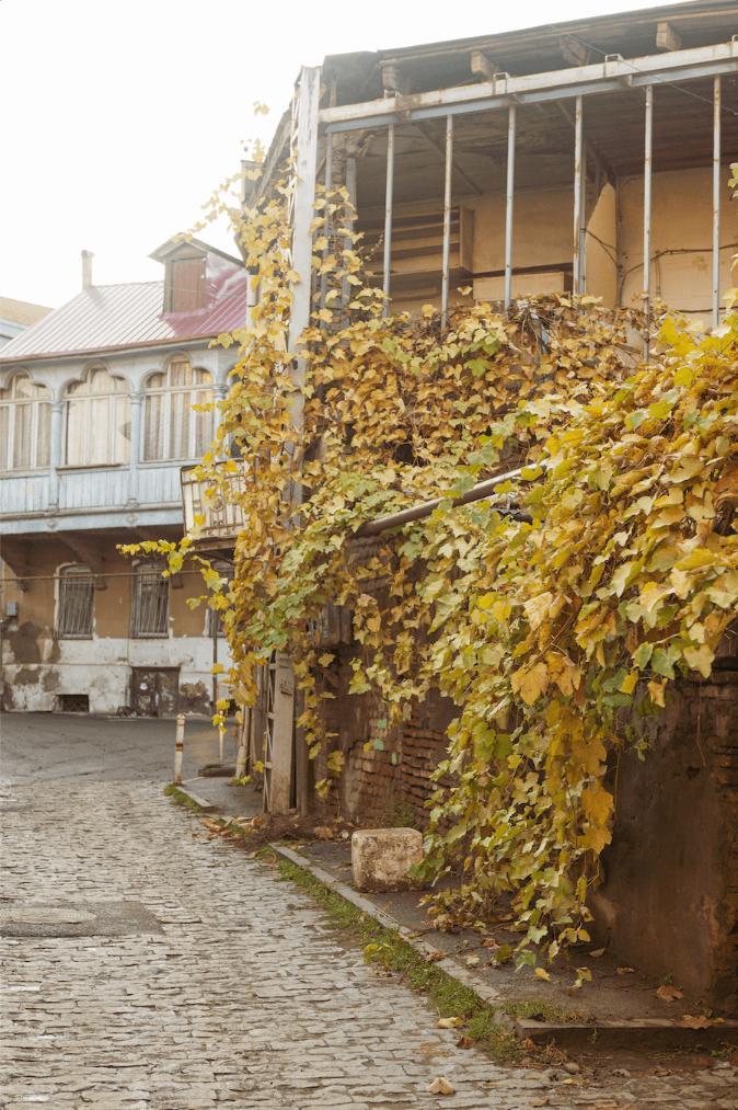 Retrato Old Town Tbilisi, Georgia: Böhmisch | Elisa Hernández | Fotógrafa en exteriores. Iluminación suave, natural y estilo documental.